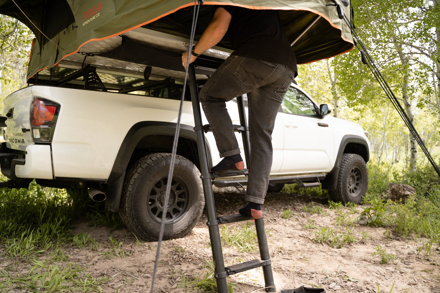 Ladder Soft Steps ROAM Dealer Portal