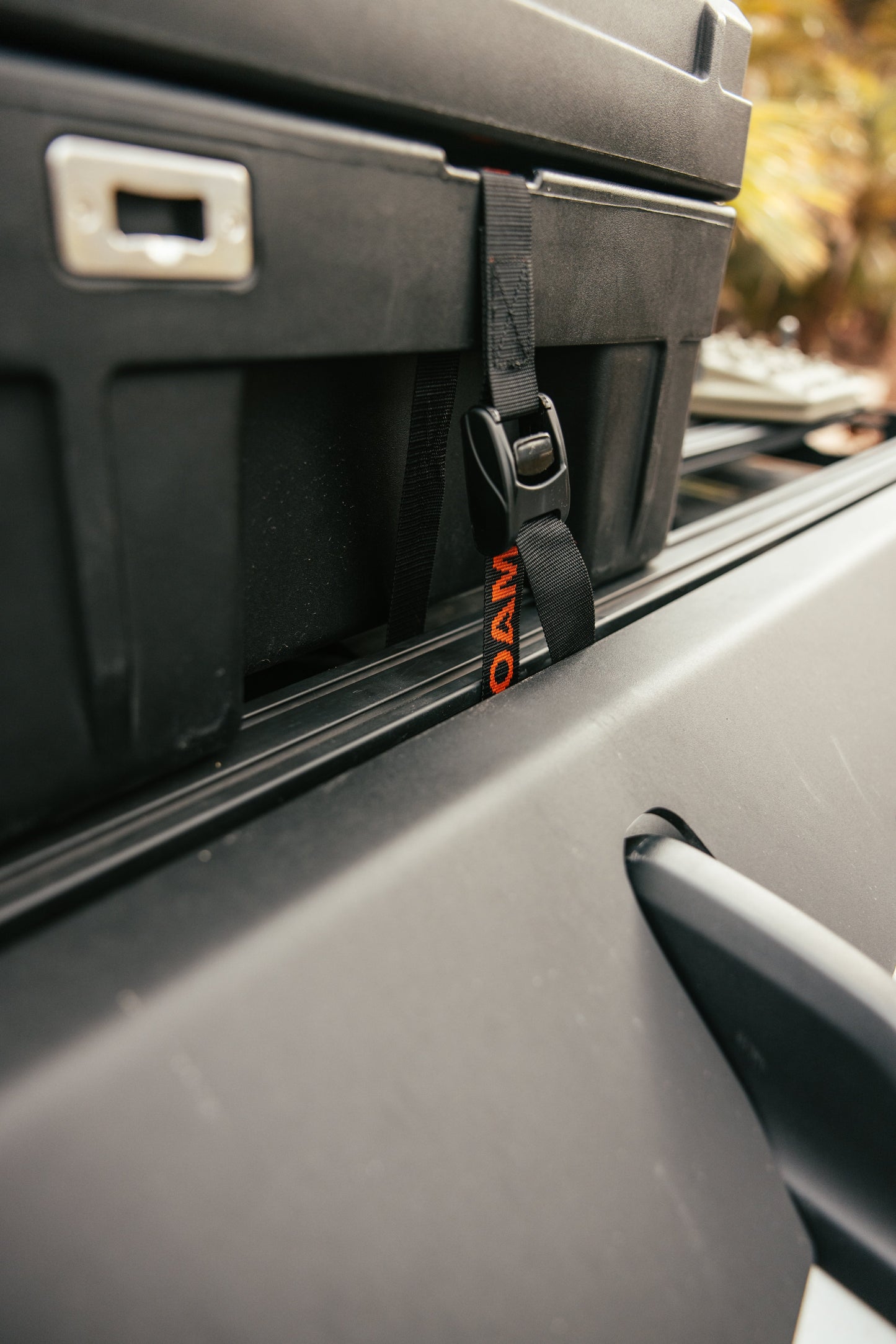 Tie Down Straps ROAM Dealer Portal