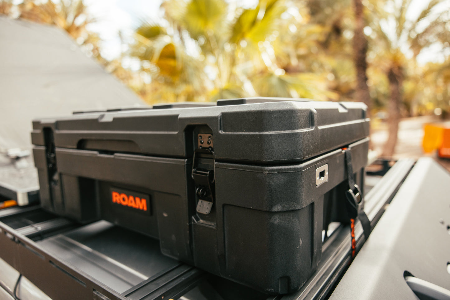 Tie Down Straps ROAM Dealer Portal