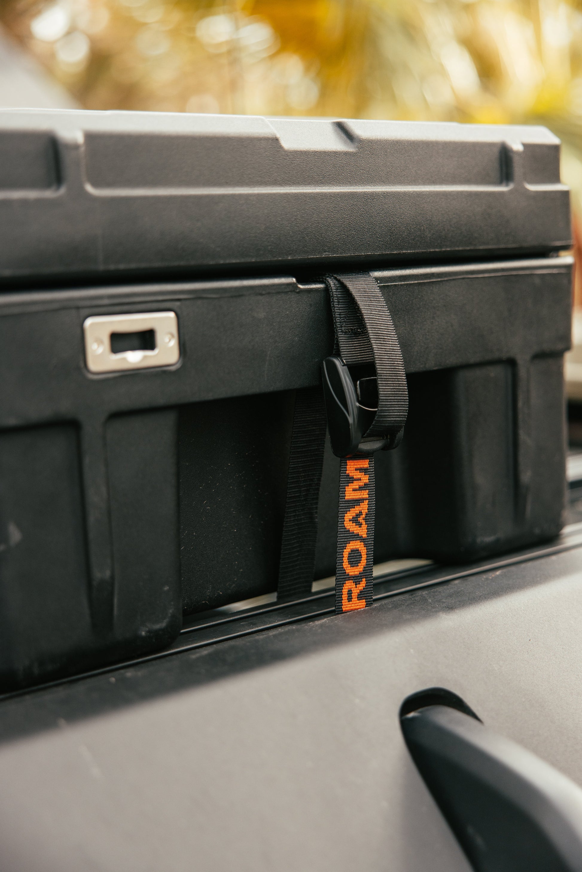 Tie Down Straps ROAM Dealer Portal